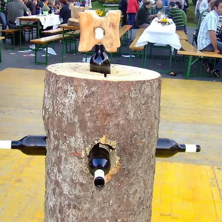 Gasthof-pension Weninger 2*